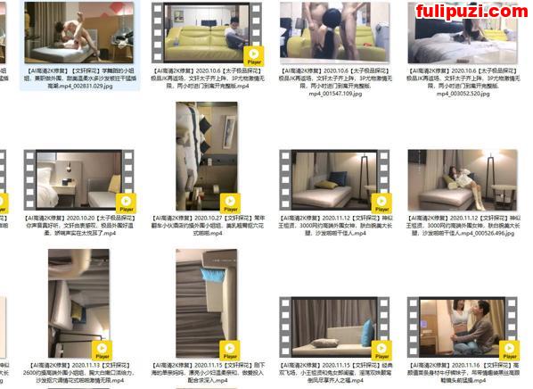 一代大神文轩探花大合集【276V/172G】